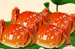 螃蟹什么時(shí)候上市？螃蟹上市時(shí)間