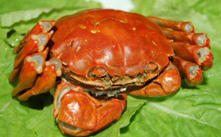 大閘蟹什么時候上市？大閘蟹幾月份上市？