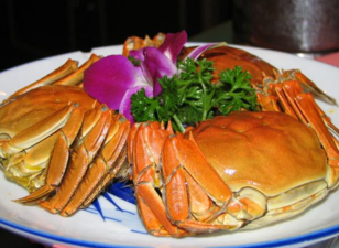 大閘蟹什么時候上市？大閘蟹幾月份上市？