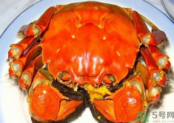 大閘蟹什么季節(jié)吃最好？吃大閘蟹的季節(jié)