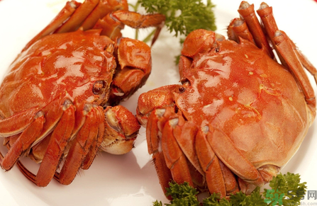 吃螃蟹中毒了怎么辦？吃螃蟹中毒了吃什么藥？