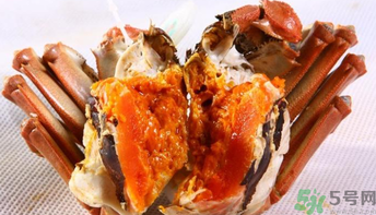 怎樣辨別陽澄湖大閘蟹？陽澄湖大閘蟹真假辨別