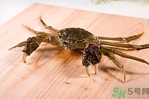 螃蟹怎么保存才新鮮？活螃蟹怎么保存過夜？