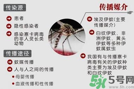 寨卡病毒會(huì)死人嗎？寨卡病毒會(huì)死嗎？