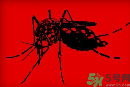 寨卡病毒會(huì)死人嗎？寨卡病毒會(huì)死嗎？