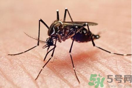 寨卡病毒可以治愈嗎？寨卡病毒如何治愈？