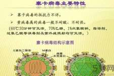 寨卡病毒對孕婦有危害嗎？寨卡病毒對孕婦的危害有哪些？