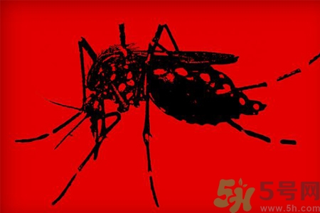 寨卡病毒對孕婦有危害嗎？寨卡病毒對孕婦的危害有哪些？