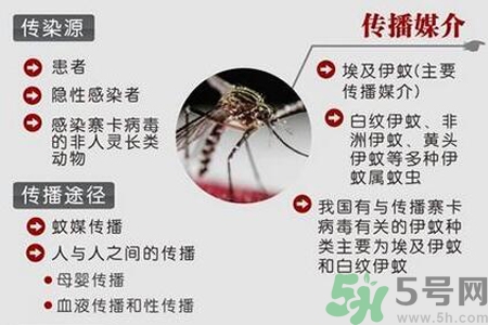 寨卡病毒對(duì)兒童的影響有哪些？寶寶如何避免及預(yù)防？