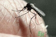 寨卡病毒對(duì)兒童的影響有哪些？寶寶如何避免及預(yù)防？