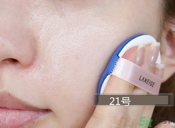 蘭芝貓頭鷹氣墊色號 蘭芝貓頭鷹氣墊試色圖 蘭芝貓頭鷹氣墊色號 蘭芝貓頭鷹氣墊試色圖