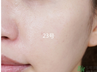 蘭芝貓頭鷹氣墊色號 蘭芝貓頭鷹氣墊試色圖 蘭芝貓頭鷹氣墊色號 蘭芝貓頭鷹氣墊試色圖