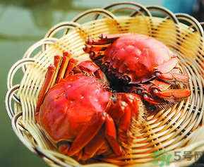 陽澄湖大閘哪個牌子好？陽澄湖大閘蟹哪個牌子是正宗的？