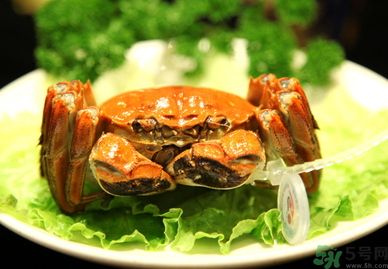 陽澄湖大閘哪個牌子好？陽澄湖大閘蟹哪個牌子是正宗的？