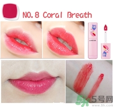 蘭芝貓頭鷹唇釉色號(hào) 蘭芝貓頭鷹唇釉試色圖 蘭芝貓頭鷹唇釉色號(hào) 蘭芝貓頭鷹唇釉試色圖