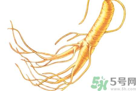 人參怎么吃效果最好？人參的做法大全