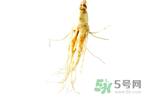 人參怎么吃效果最好？人參的做法大全