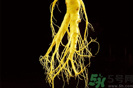 人參怎么吃效果最好？人參的做法大全