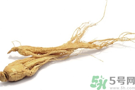 人參怎么吃效果最好？人參的做法大全