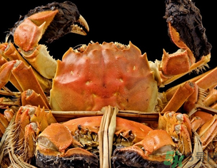 梁子湖大閘蟹什么時候上市？梁子湖大閘蟹上市時間