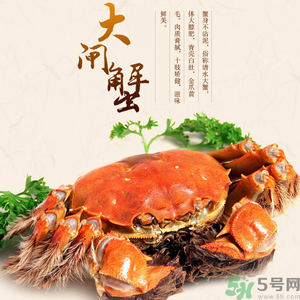 梁子湖大閘蟹什么時候上市？梁子湖大閘蟹上市時間