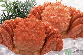 大閘蟹可以放幾天？大閘蟹可以冷凍嗎?