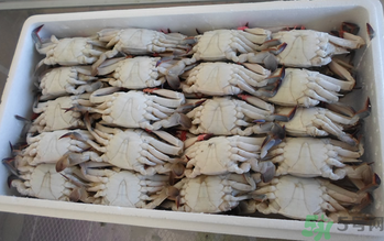 大閘蟹可以放幾天？大閘蟹可以冷凍嗎?