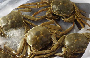 大閘蟹可以放冰箱嗎？大閘蟹放冰箱能活幾天？