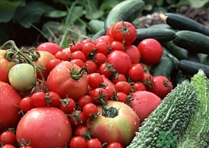 苦瓜汁可以敷臉嗎？苦瓜汁敷臉可以祛痘嗎