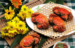 陽澄湖大閘蟹怎么做好吃？陽澄湖大閘蟹的做法