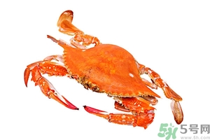 懷孕期間能吃螃蟹嗎？吃螃蟹會(huì)影響懷孕嗎？