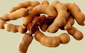 亞參果孕婦能吃嗎？孕婦吃亞參果有什么好處？