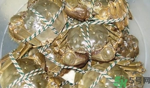 大閘蟹怎么保存才不死?大閘蟹怎么保存過(guò)夜?