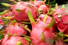 火龍果和牛奶可以一起吃嗎？火龍果的食用禁忌