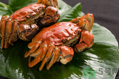 螃蟹和柿子一起吃了怎么辦？螃蟹和柿子一起吃有毒嗎？