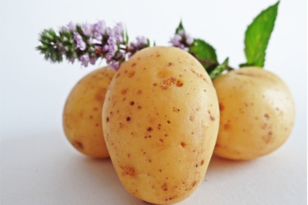 發(fā)芽的土豆怎么吃？土豆發(fā)芽了把芽削掉能吃嗎？