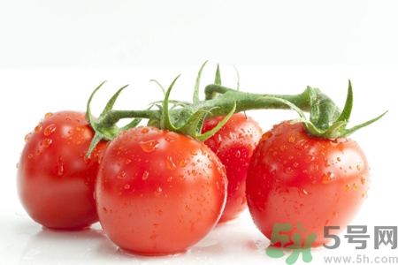 番茄和西紅柿有什么區(qū)別？番茄和西紅柿一樣嗎？