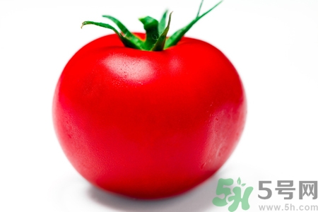 番茄和西紅柿有什么區(qū)別？番茄和西紅柿一樣嗎？