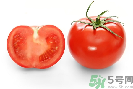 番茄和西紅柿有什么區(qū)別？番茄和西紅柿一樣嗎？