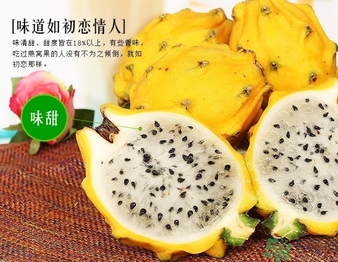 黃龍果多少錢一斤？黃龍果的功效作用