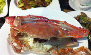 梭子蟹什么時(shí)候最肥？梭子蟹什么時(shí)候最好吃？