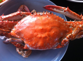 梭子蟹什么時(shí)候最肥？梭子蟹什么時(shí)候最好吃？