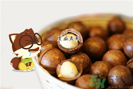 三只松鼠什么最好吃?三只松鼠的東西怎么樣? 三只松鼠什么最好吃?三只松鼠的東西怎么樣?