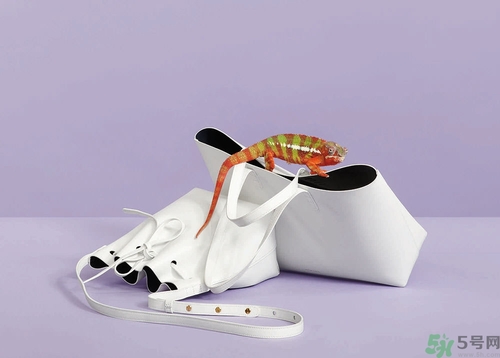 Mansur Gavriel水桶包價(jià)格多少錢？Mansur Gavriel水桶包尺寸大小