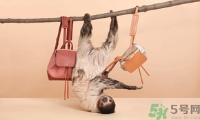 Mansur Gavriel水桶包價(jià)格多少錢？Mansur Gavriel水桶包尺寸大小