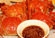 陽(yáng)澄湖大閘蟹死了還能吃嗎？陽(yáng)澄湖大閘蟹死了為什么不能吃？