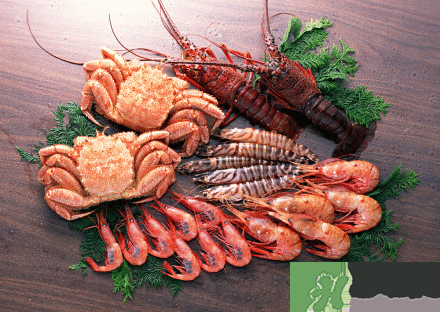 吃海鮮胸部會變大嗎？吃海鮮會得乳腺膿腫嗎？