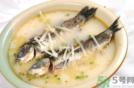 鯽魚可以和什么一起煲湯?鯽魚和什么燉湯好喝? 鯽魚可以和什么一起煲湯?鯽魚和什么燉湯好喝?