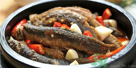 泥鰍殺好能冷凍嗎?活泥鰍怎么保存? 泥鰍殺好能冷凍嗎?活泥鰍怎么保存?