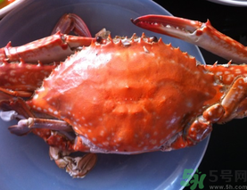 梭子蟹什么時候有黃？怎么看梭子蟹是否滿黃？